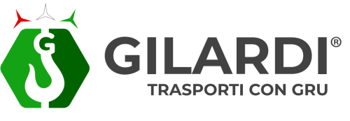 Gilardi Trasporti con Gru